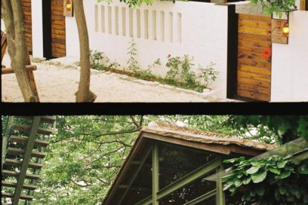 丹东老瓦岭红砖楼算命准吗