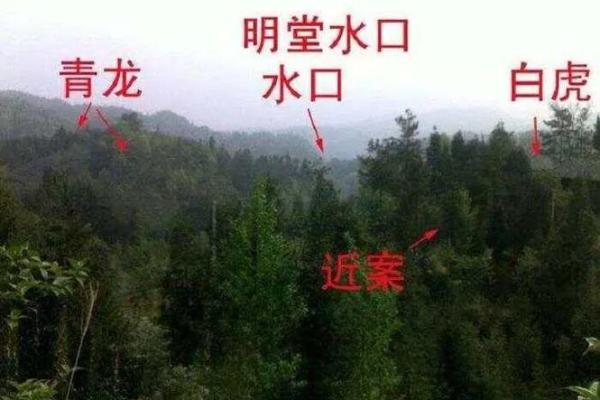 什么是阴宅?阴宅风水入门知识 什么是阴宅?阴宅风水入门知识