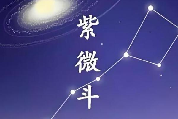 紫薇斗数财帛有天机