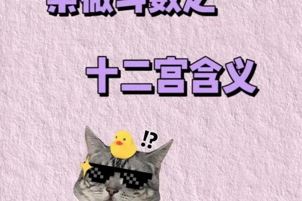 紫薇斗数许老师