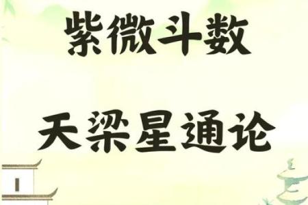 天梁在子女宫，紫微斗数天梁在子女宫详解