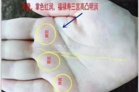 看手相为什么能从众多算命法中脱颖而出且延绵不绝？它真的不靠谱吗？