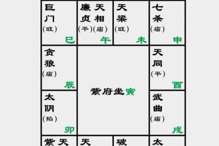 紫薇斗数看润月