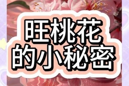 如何利用风水调整来提升桃花运
