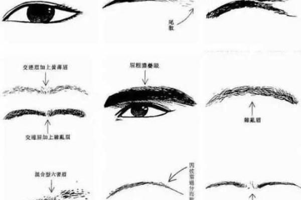 面相图解-八字眉面相算命及特征