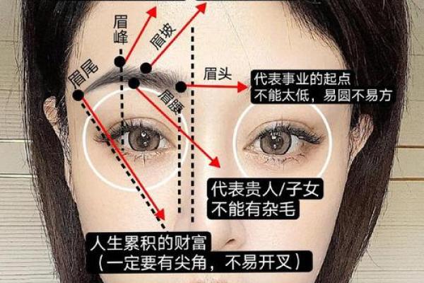 面相图解-八字眉面相算命及特征