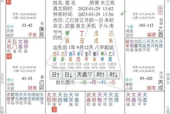 紫薇斗数软件破解