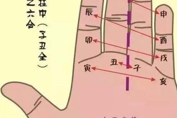 一掌算命