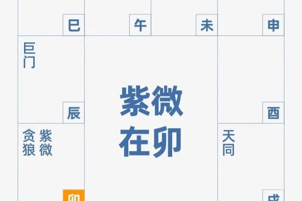 紫薇斗数科甲星