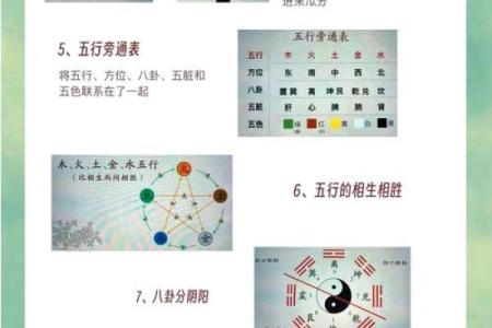 商业：办公养花风水与五行八卦