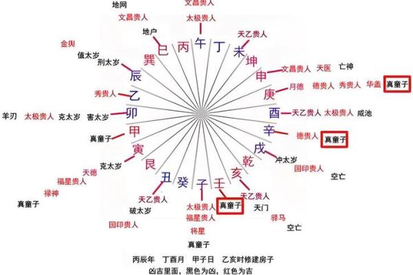 童子命的八字