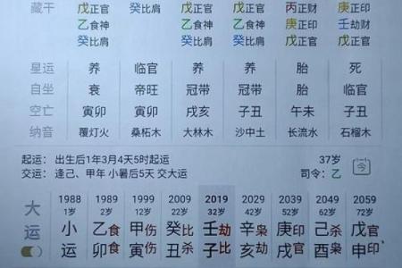 八字看什么