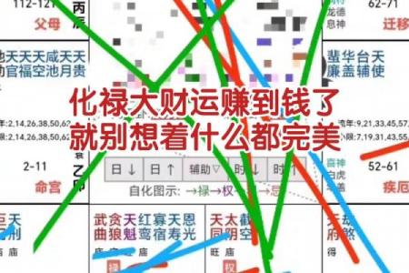紫薇斗数大财禄