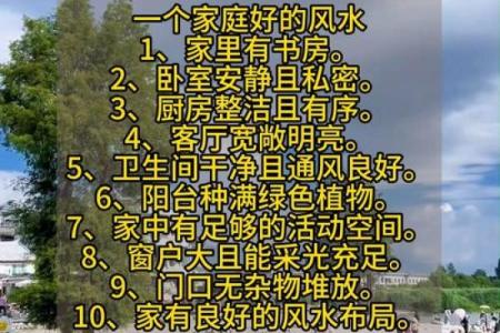 让家庭和谐青苔的风水