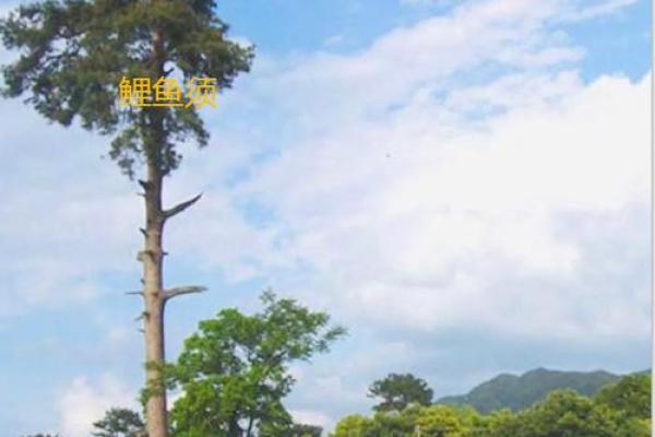 三元风水曾