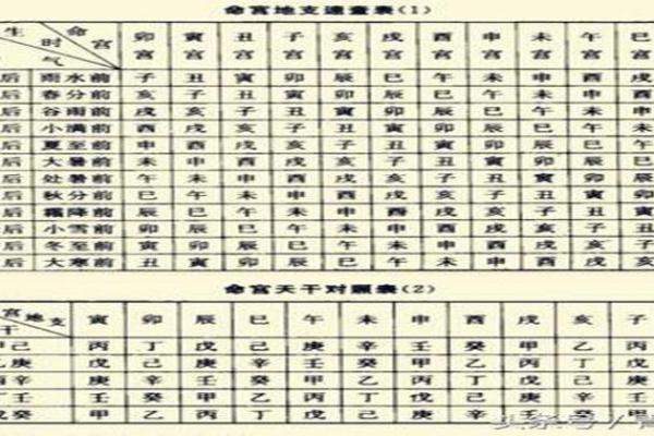 八字胎养