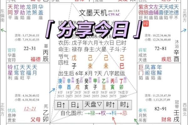最准紫薇斗数app