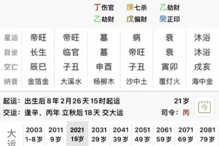 2024年12月9日农历十月二十五出生的孩子八字是什么