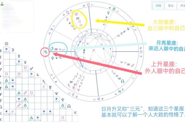 紫薇星盘查询免费