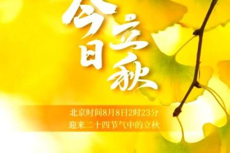 2024年立秋出生的男孩八字缺木怎么取名？五行缺木有什么影响？