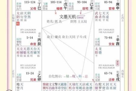 紫微斗数诸星落命宫之：左辅星、右弼星详解