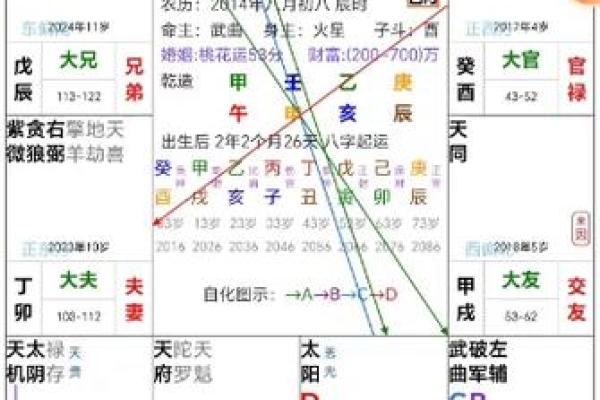 紫微斗数太阳太阴在疾厄宫