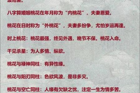 命运八字误姻缘免费阅读 八字命运的意思？