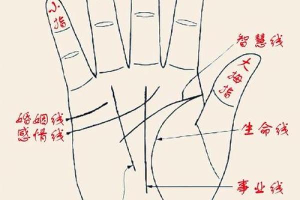一掌经算命最准的方法