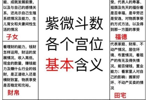 紫薇斗数配偶家世