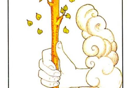 塔罗测试：你的好运去哪儿了？