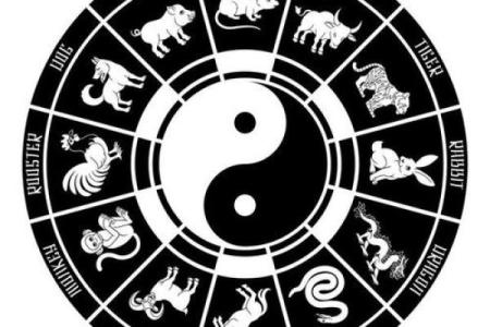 十二生肖子平算命，生肖牛的宇宙密码符号