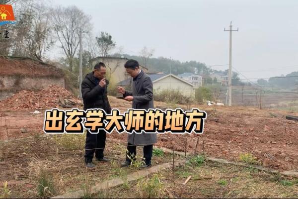 天价风水师