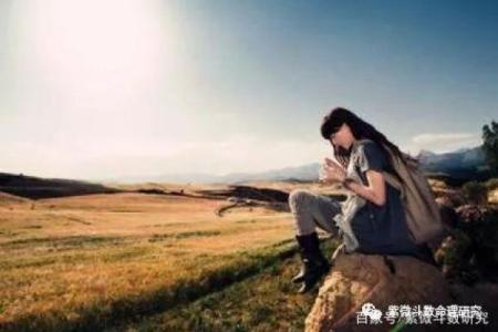 紫薇斗数双星组合