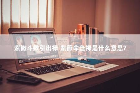 紫微斗数引出禄 紫薇命盘禄是什么意思？