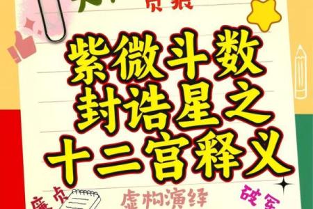 紫微斗数之诸星值限年运气推断：本宫无正星