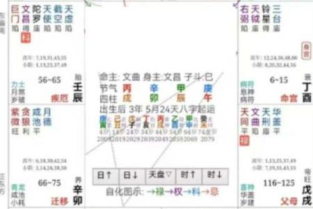 紫薇豆斗数软件