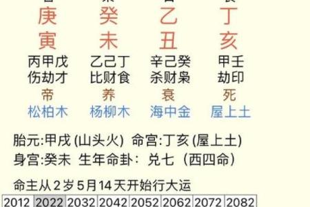 有博士学位的八字分析算命