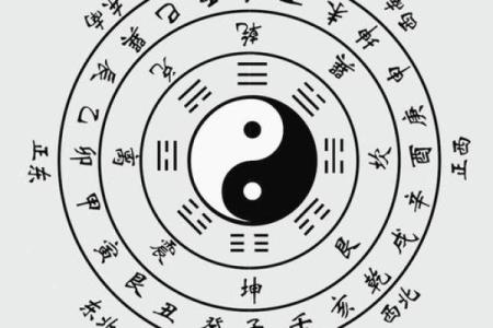 自己八字