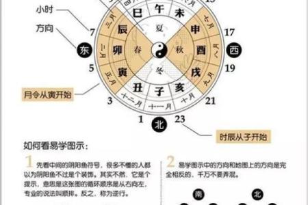 人体胎记算命的解释分析
