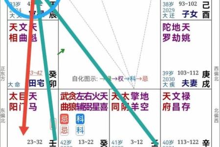 紫薇斗数中的禄存