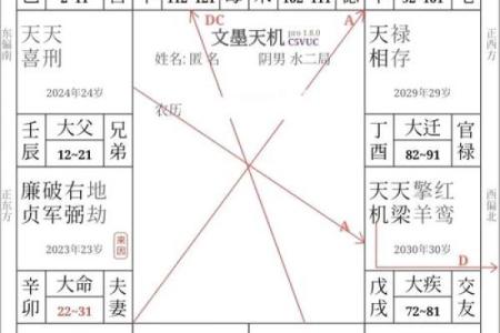 紫薇斗数配偶身材