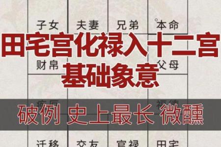 紫薇斗数象意