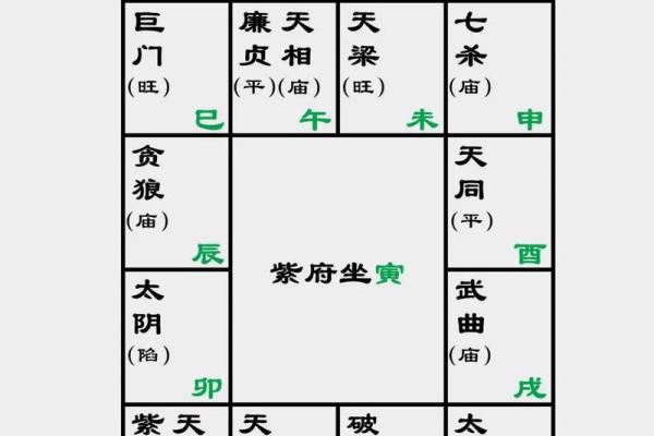紫薇斗数看子孙
