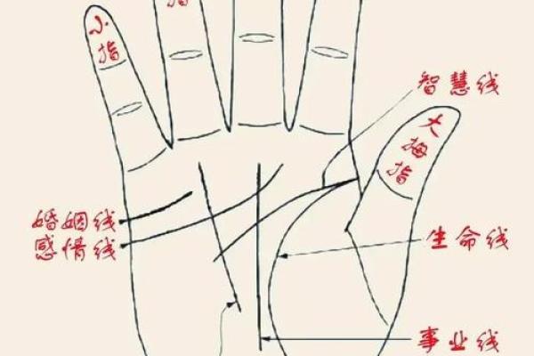 看手相算命：第五课 论健康