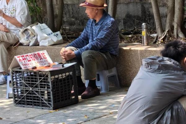 外国算命