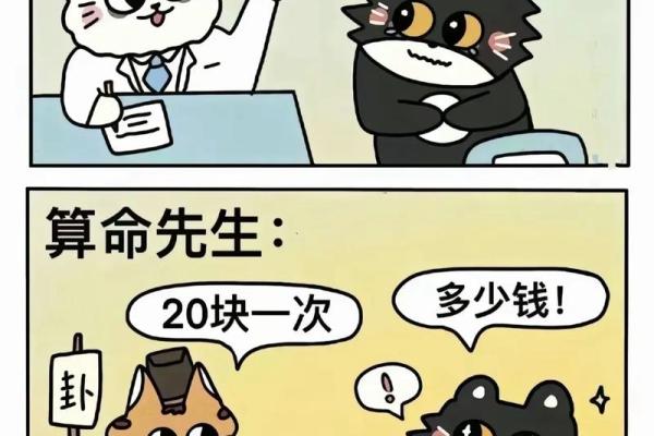 帮小孩算命