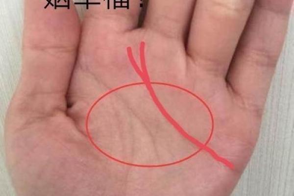 看手相算命：第二课 婚姻感情
