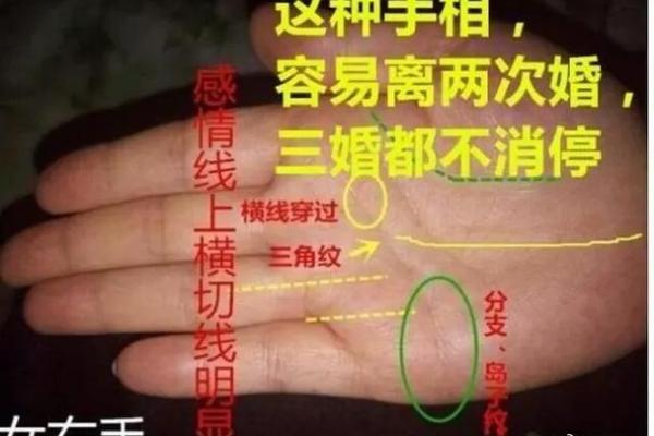 看手相算命：第二课 婚姻感情