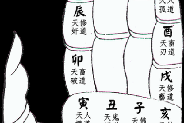 算命手势图含义