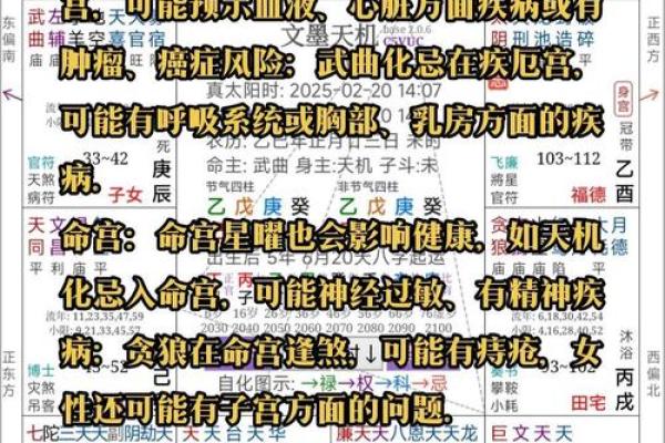 否极泰来紫薇斗数